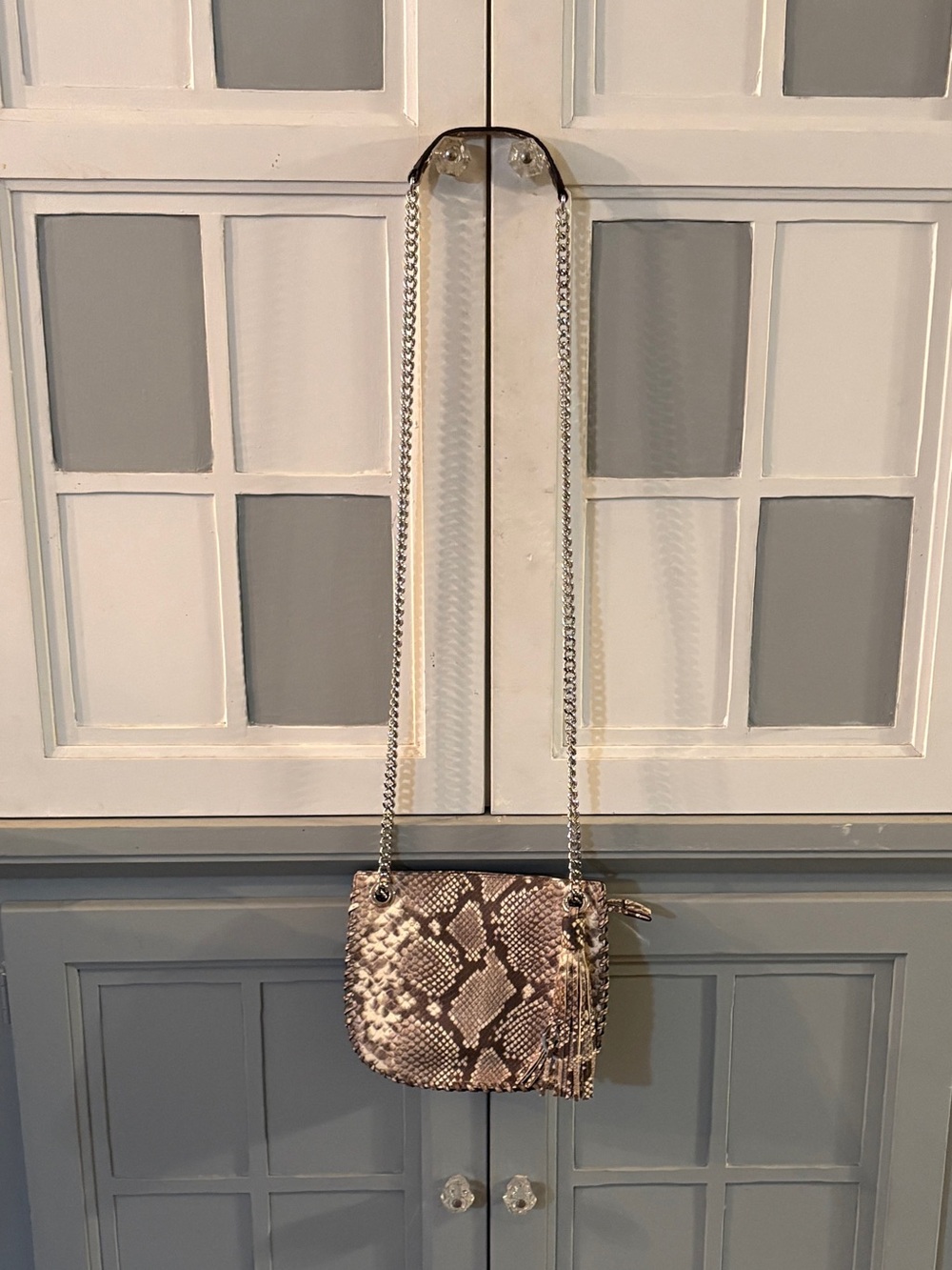 Michael Kors Snakeskin Crossbody Purse